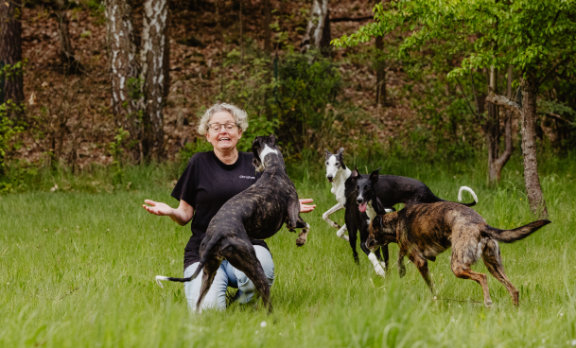 christine-stroehlein-mehrhundehalter-training