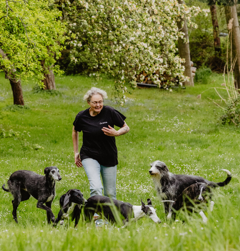 mehrhundehalter-training-auf4pfoten