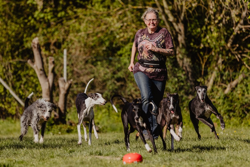 Cover 88 Ideen für das Leben mit Hundesenioren