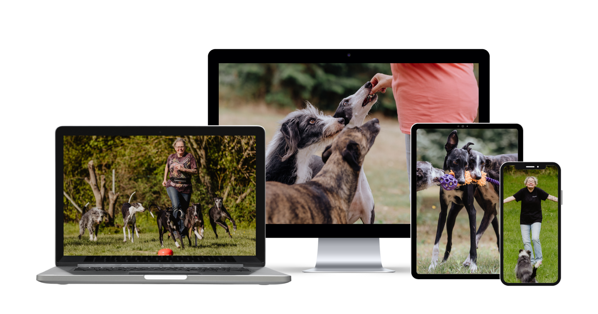 onlinekurs-spielend-mehrhundehaltung