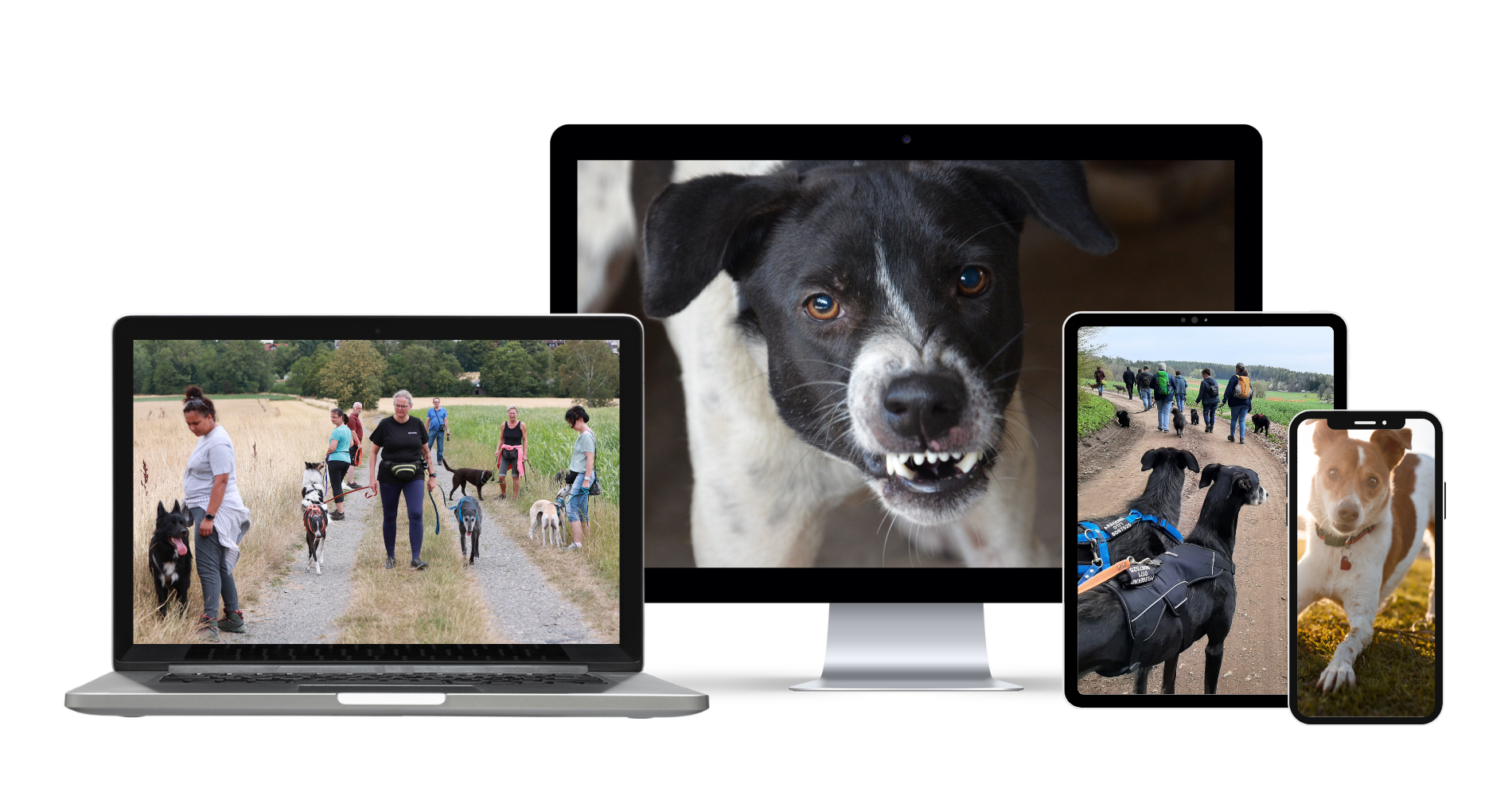 Christine mit Hundegruppe im Wald