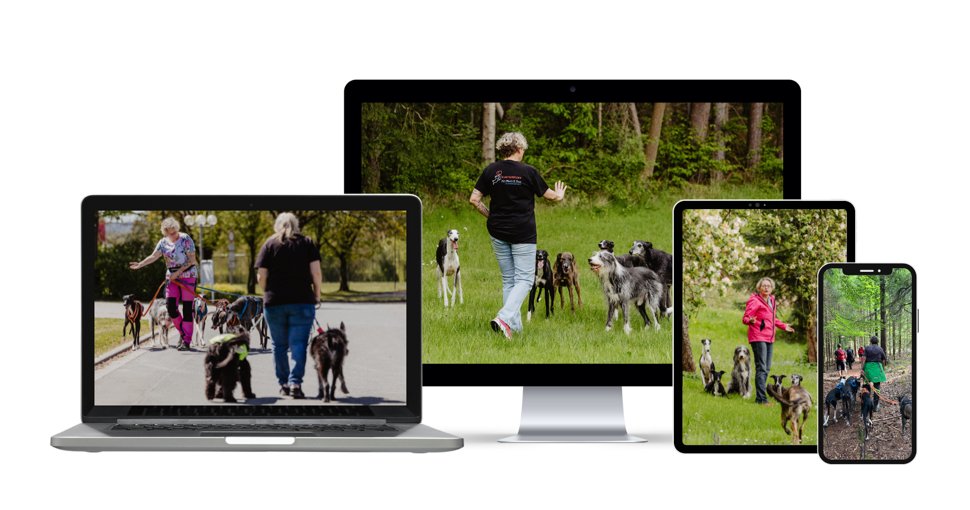 Hundegruppe schaut in Kamera