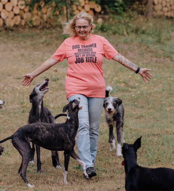 webinar-mehrhundehaltung
