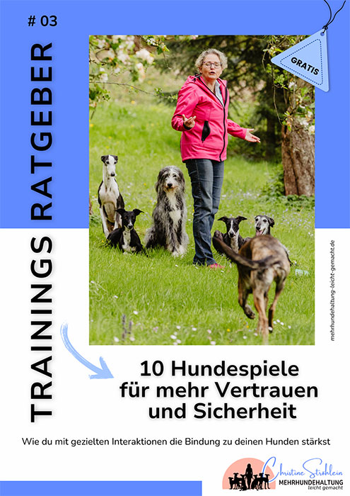 hundespiele