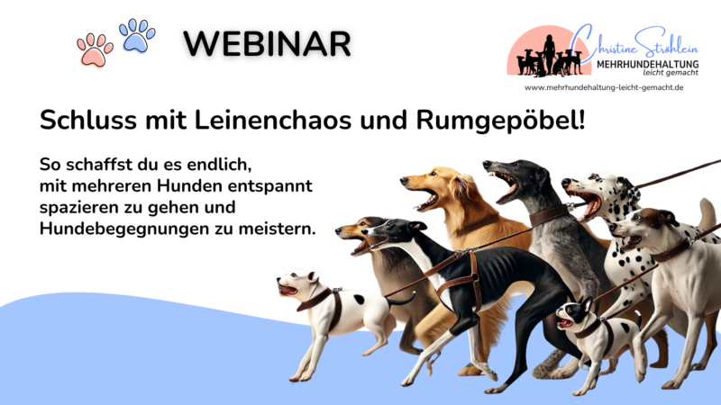 Cover 99 Ideen für das Clickern mit Hund