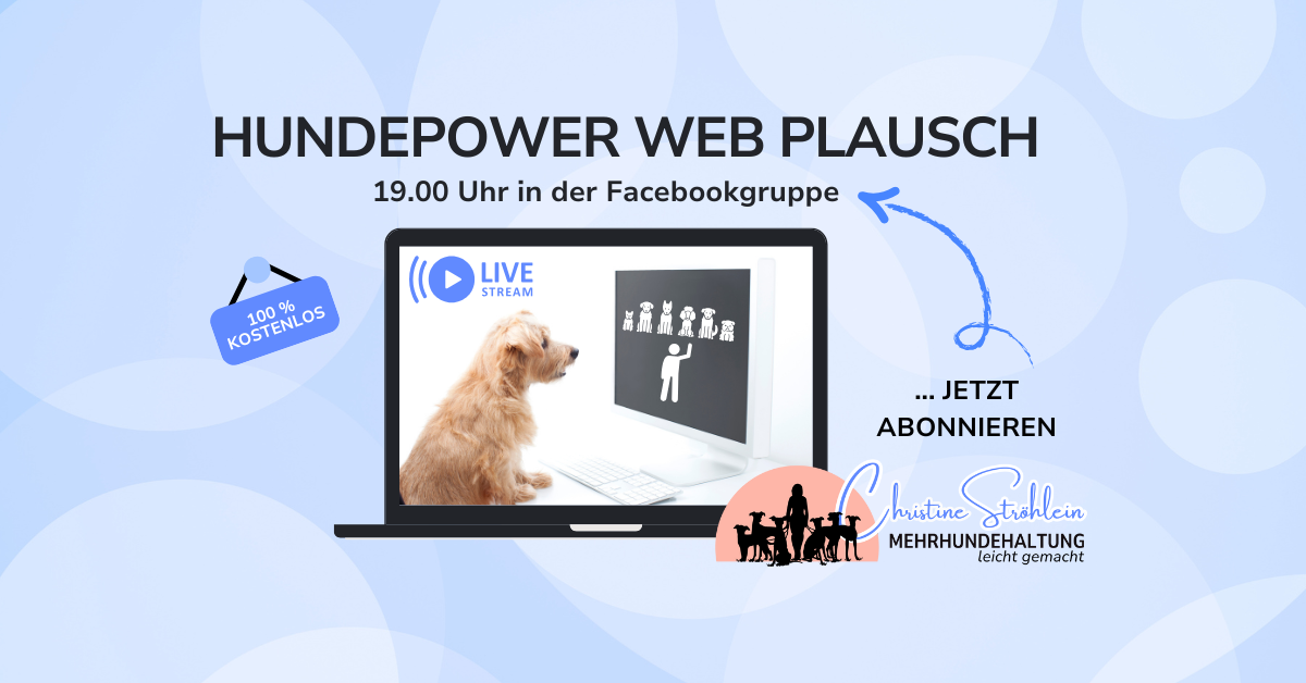 Screenshot von Video aus Webinar
