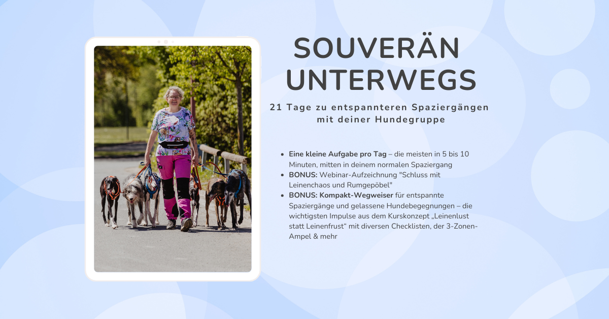 Christine mit Hundegruppe im Wald