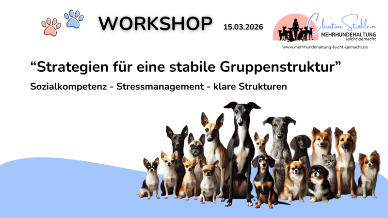 Cover 99 Ideen für das Clickern mit Hund