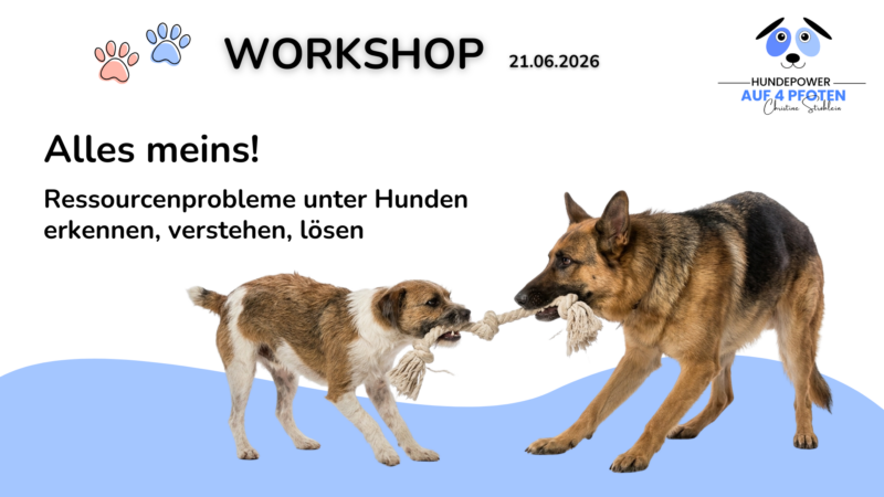 Screenshot von Video aus Webinar
